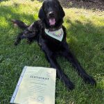 Schulhund Skyla